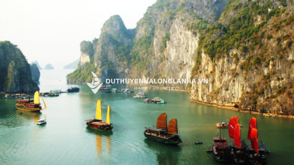 Đặt tour du thuyền ở Hạ Long có những loại du thuyền nào